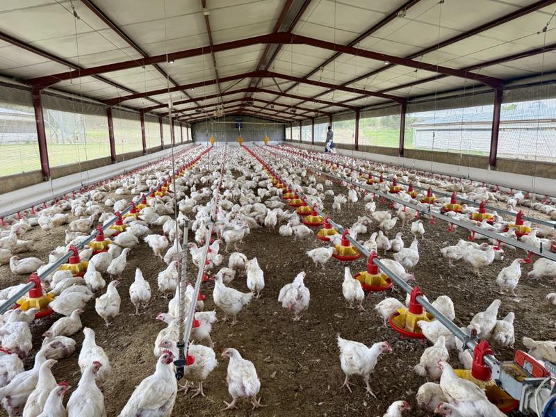 0 Bedroom Property for Sale in Harrismith Free State